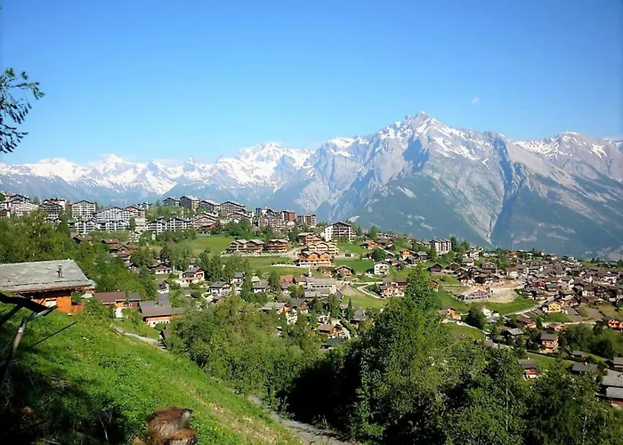 In Near Slopes 南达